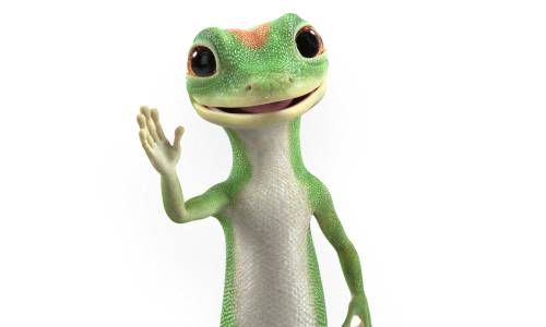 Geico insurance company image